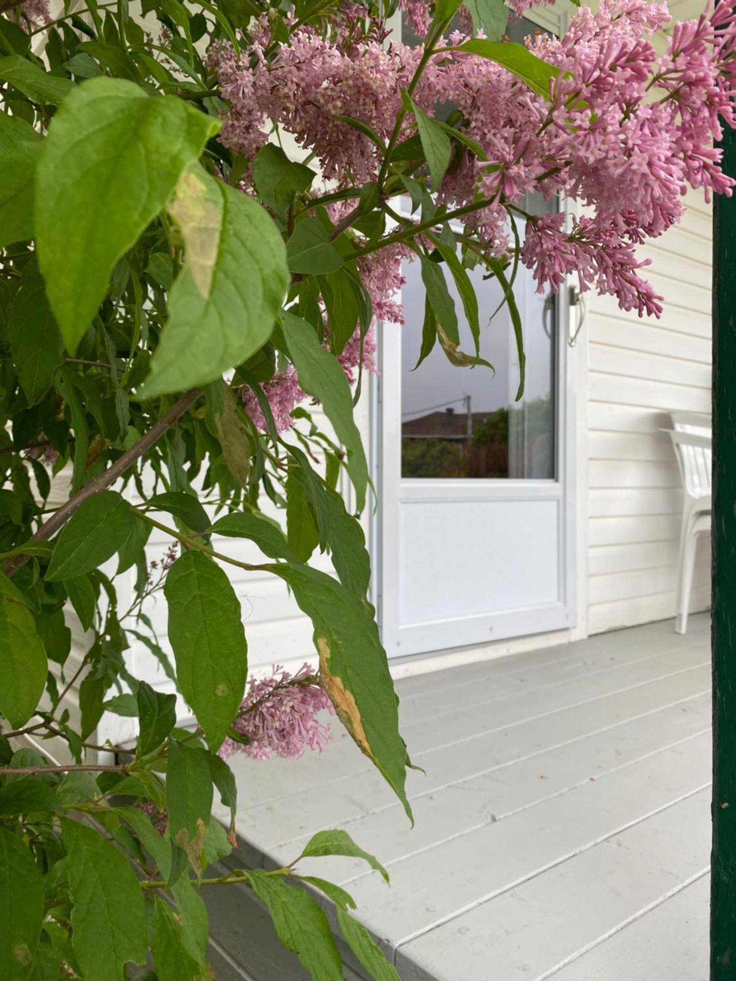 Chalets Glenn Percé Exterior foto